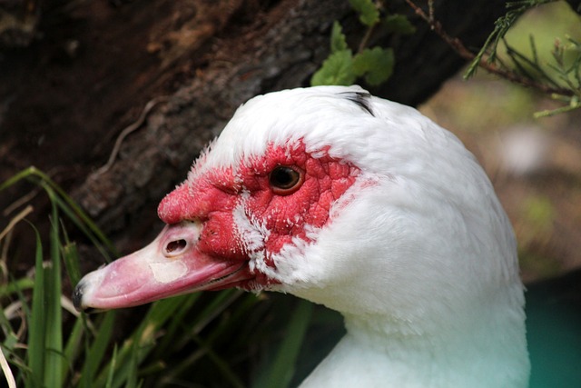 创造了常规 创造了常规