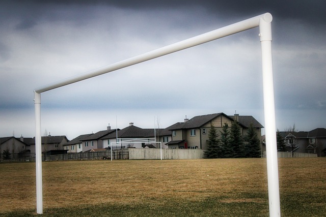 上海落地系列消费补贴 智能产品线上线下销售旺.