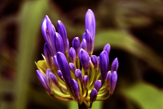 在这篇文章 在这篇文章