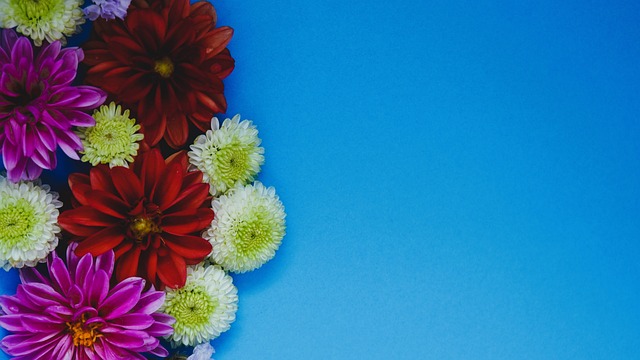 詹姆斯与布朗在NBA的表现引发热议.