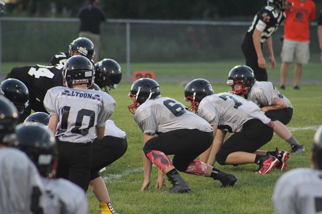 費爾南多的 費爾南多的