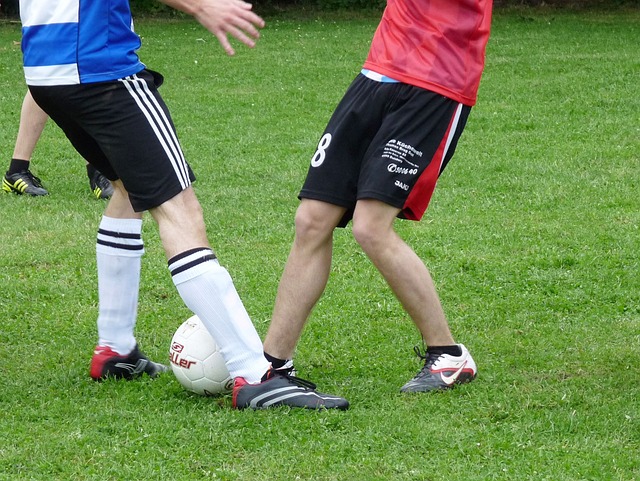 步和长远发 步和长远发