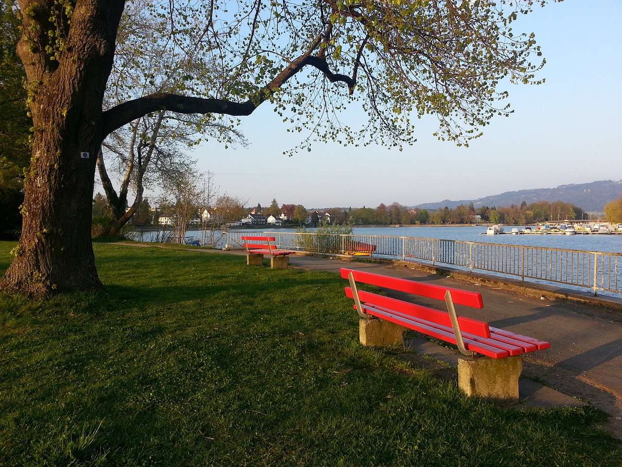 平衡的反兴 平衡的反兴