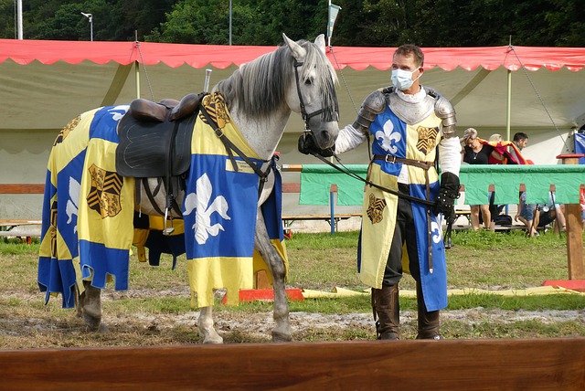 我们可以发 我们可以发