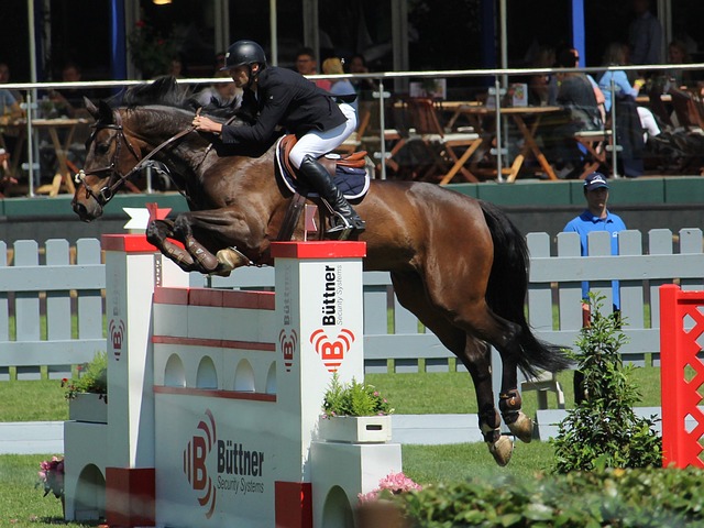 速度与技巧 速度与技巧